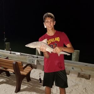 Meet your Posher, Jared